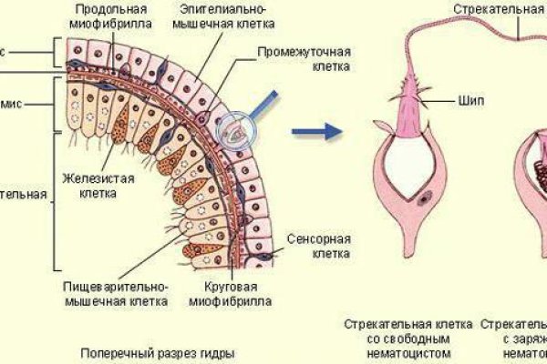 Кракен настоящее зеркало