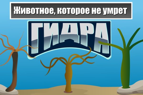 Кракен даркмаркет плейс официальный сайт