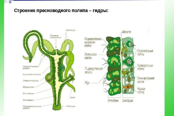 Kraken 15at сайт krakens15 at