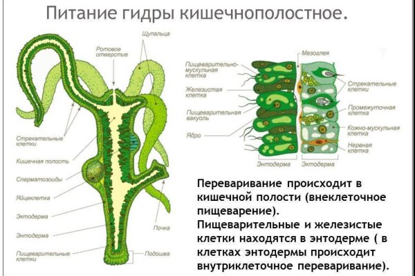 Как зайти на площадку кракен