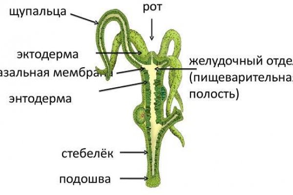 Кракен почему не заходит