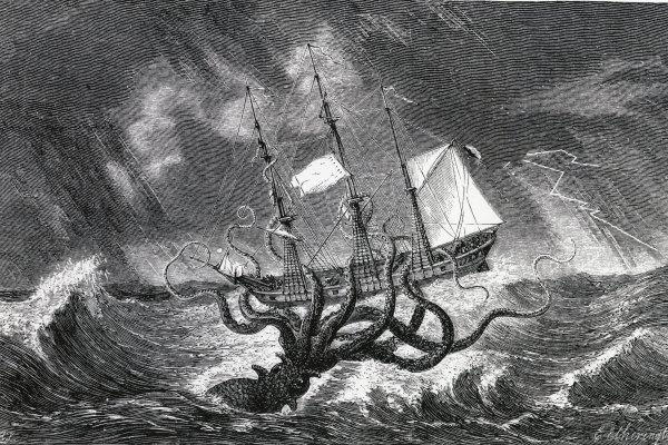 Kraken 20at net
