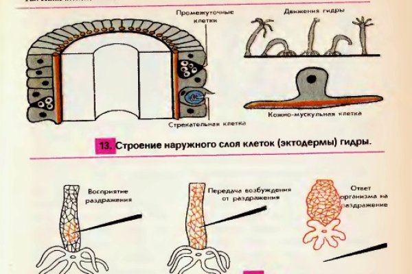 Kraken что это за магазин